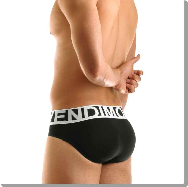 Modus Vivendi: Eternal Brief Black