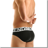 Modus Vivendi: Eternal Brief Black