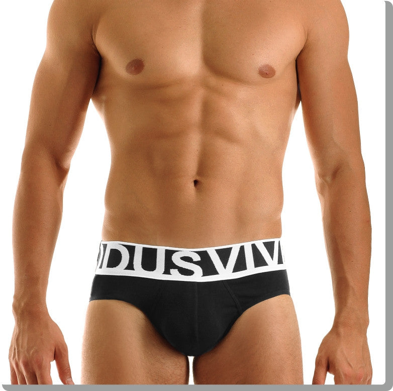 Modus Vivendi: Eternal Brief Black