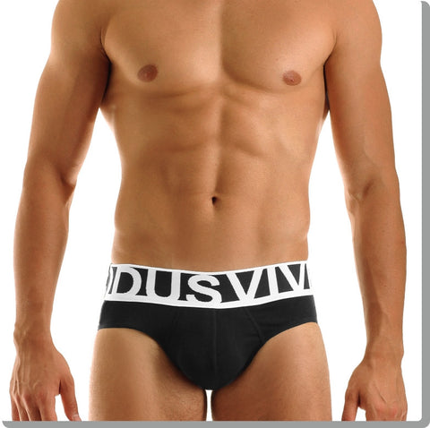 Modus Vivendi: Eternal Brief Black