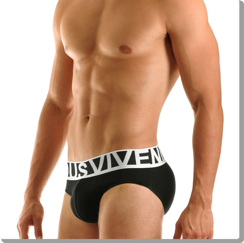 Modus Vivendi: Eternal Brief Black