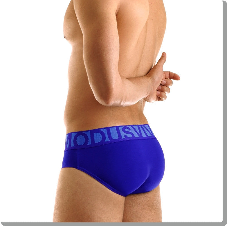 Modus Vivendi: Eternal Brief Blue