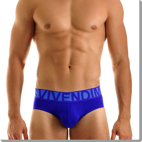Modus Vivendi: Eternal Brief Blue