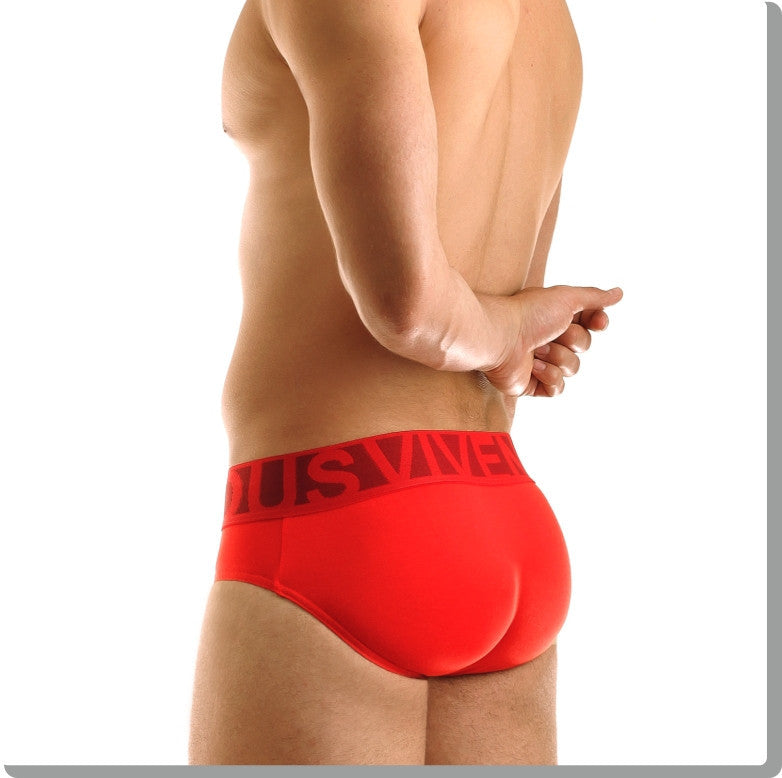 Modus Vivendi: Eternal Brief Red