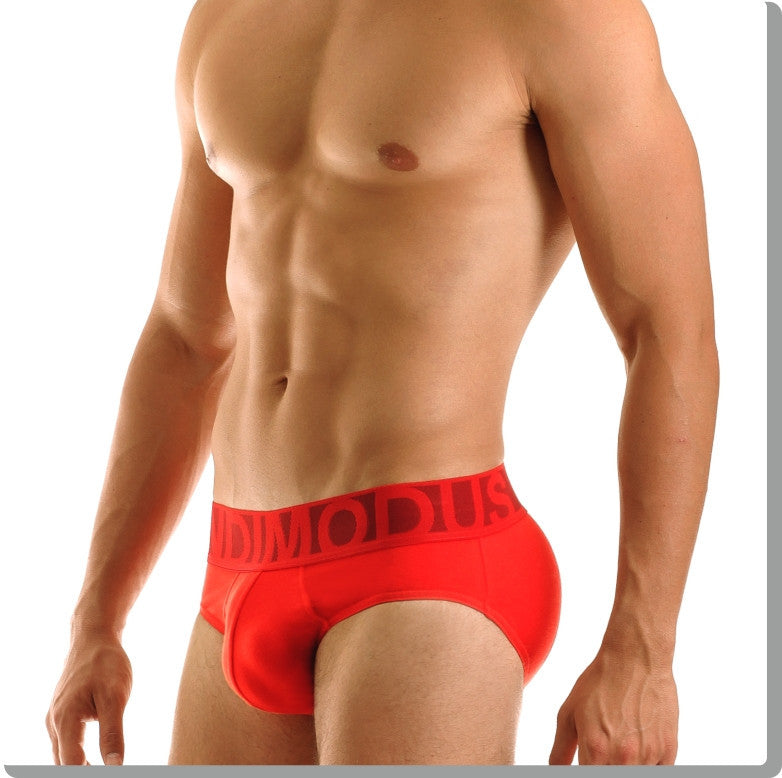 Modus Vivendi: Eternal Brief Red