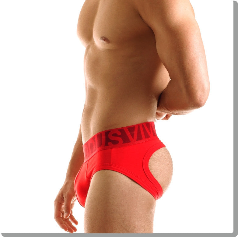 Modus Vivendi: Eternal Bottomless Jock Red