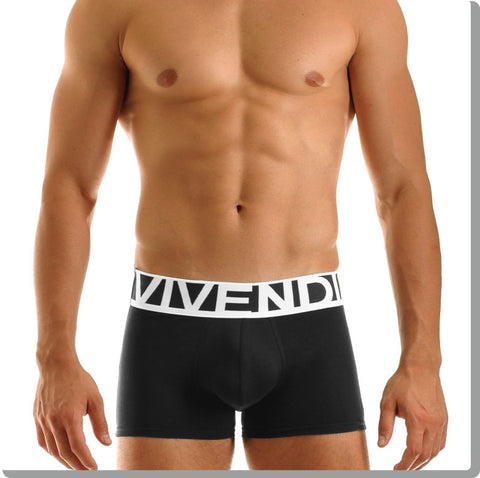 Modus Vivendi: Eternal Boxer Black
