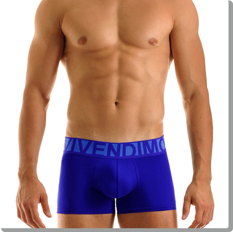 Modus Vivendi: Eternal Boxer Blue