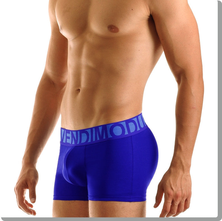 Modus Vivendi: Eternal Boxer Blue