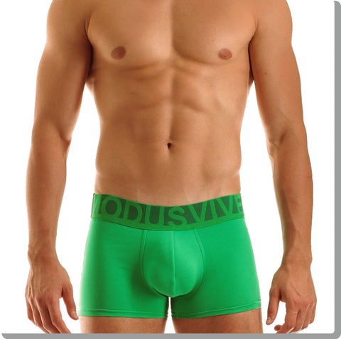 Modus Vivendi: Eternal Boxer Green