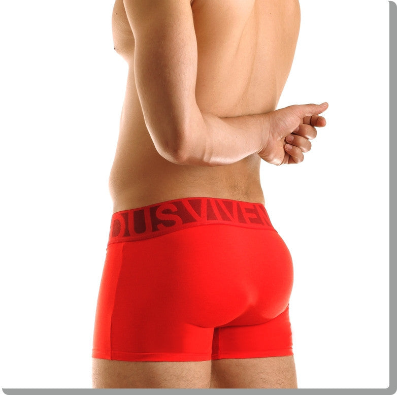 Modus Vivendi: Eternal Boxer Red